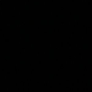 Meet your Posher, Jerry